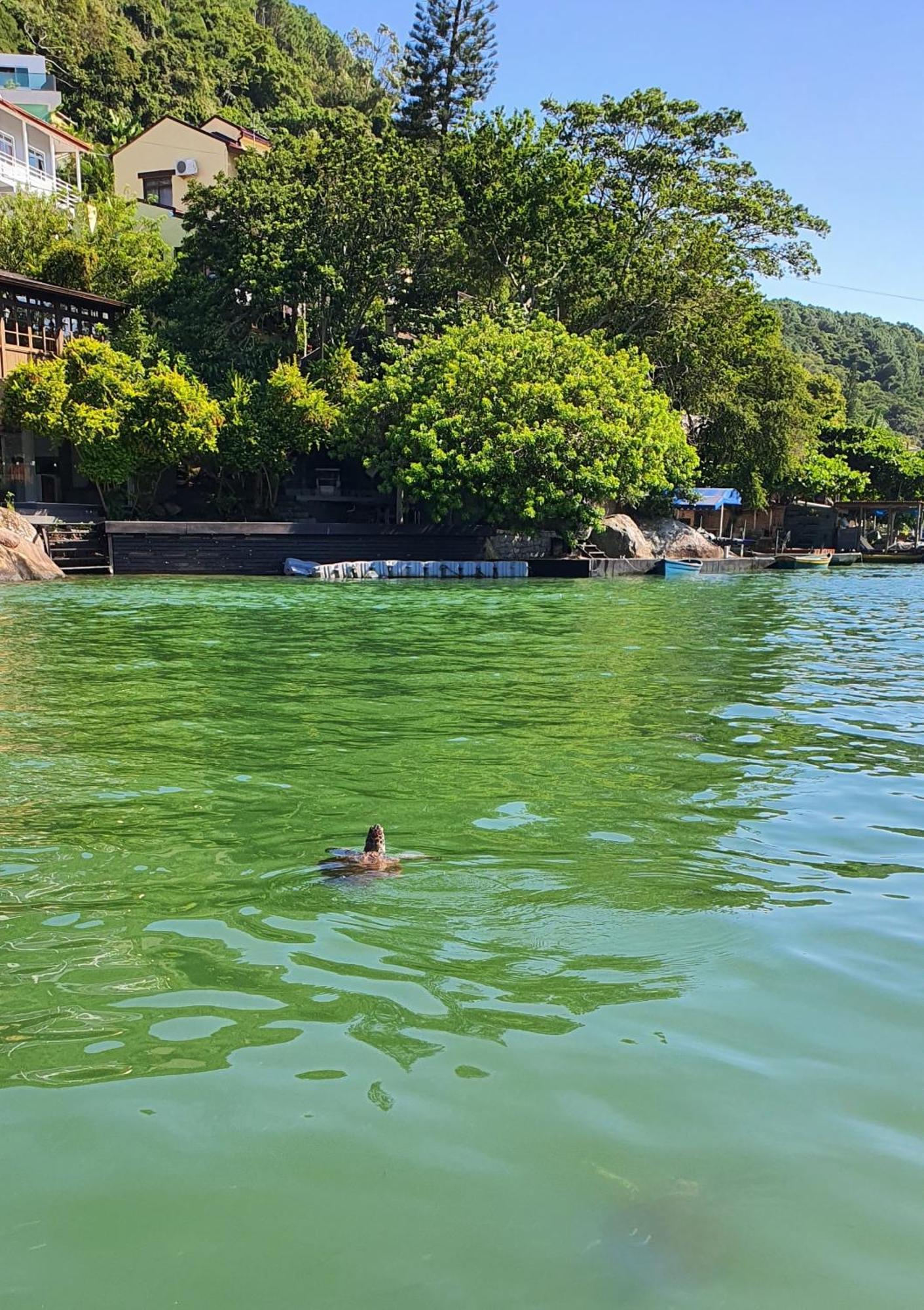 Pousada Vista Da Barra - Florianopolis — Photos 2